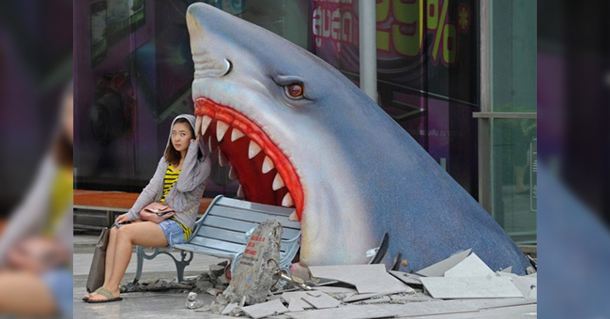 shark bench