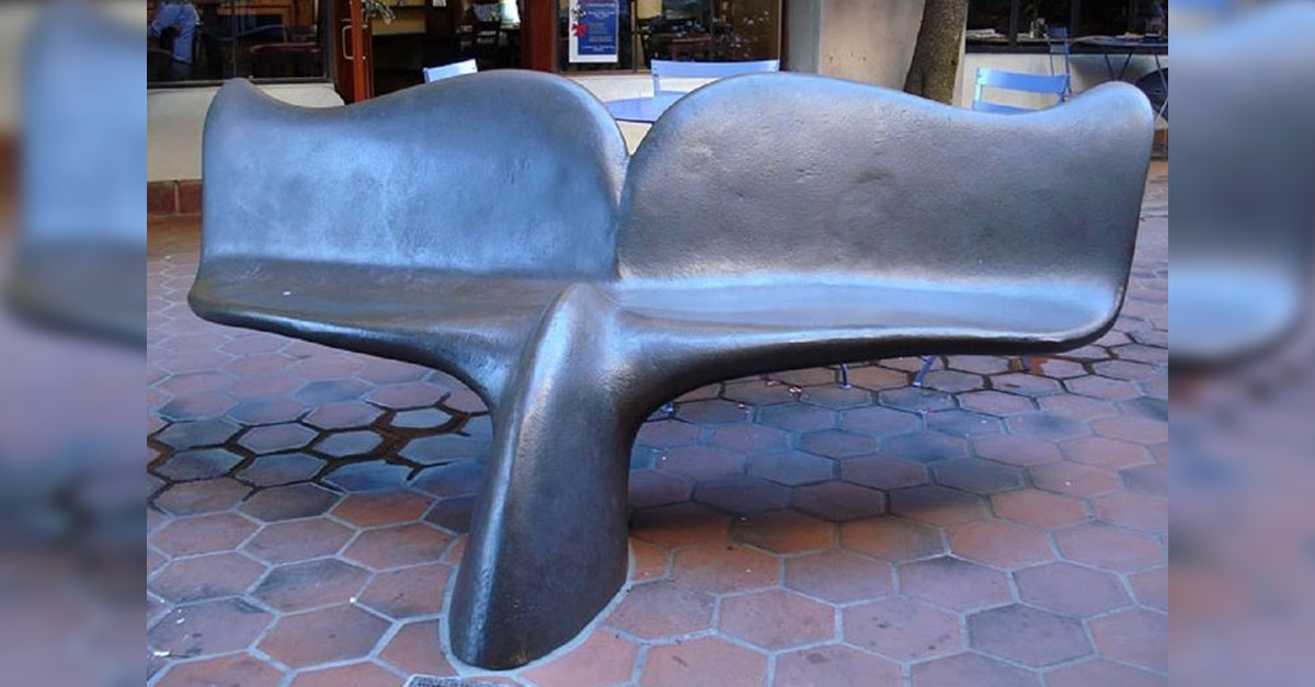 Whale Tail Bench