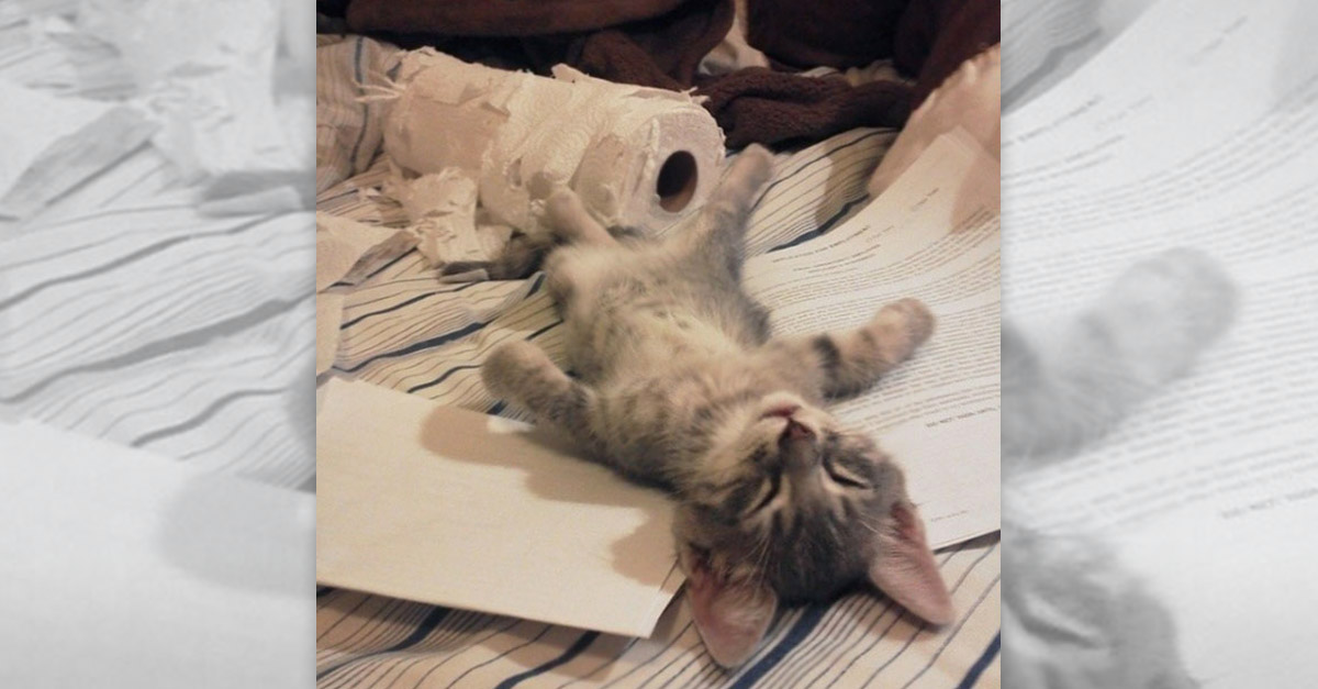 Enough Fun For One Day