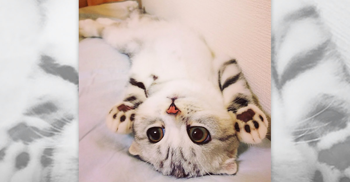 Upside Down