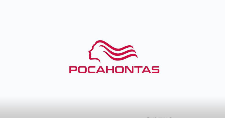 Disney Logo Mash-up - Wella Logo as Pocahontas Movie