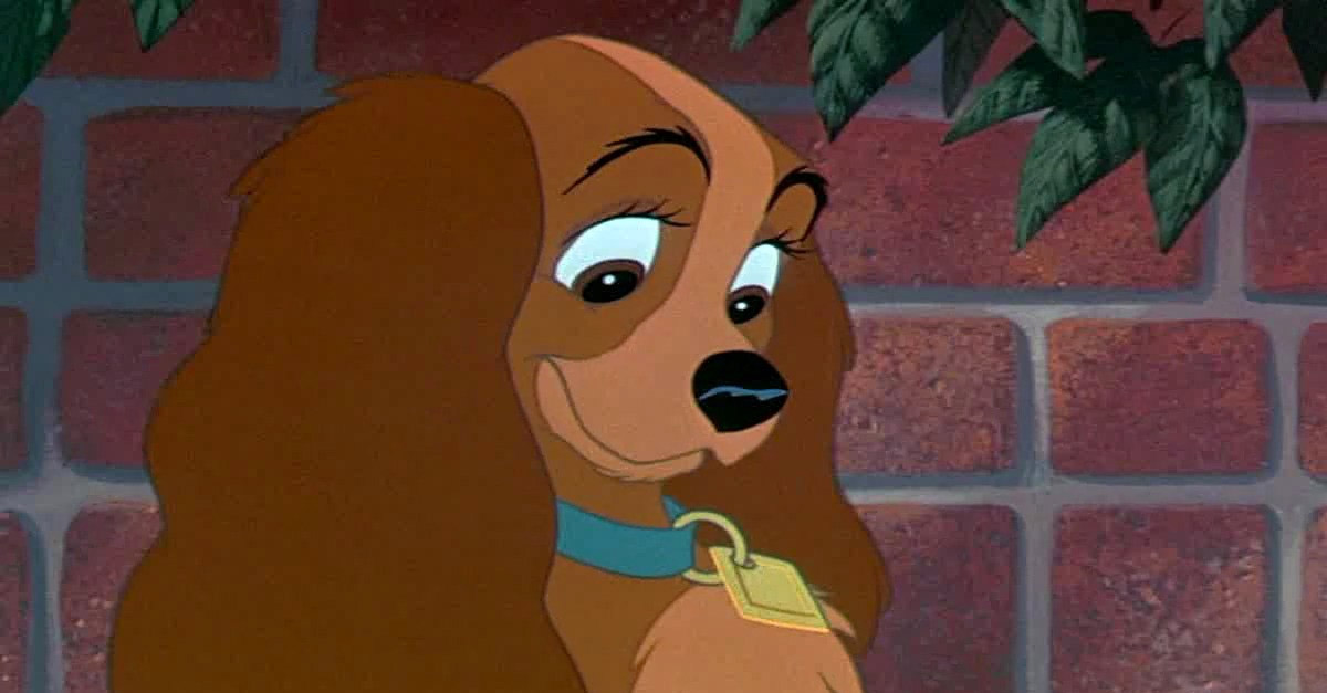 Lady from Lady and the Tramp