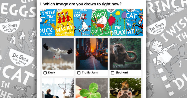 Dr Seuss Book Selector