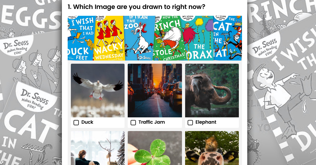 Dr Seuss Book Selector