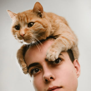 Dr Seuss Book Selector - Cat on Head