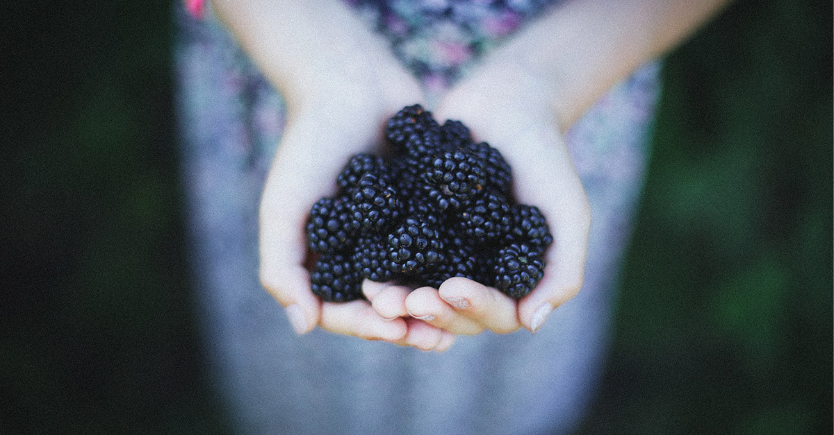 R Amazing Fruits - Blackberries
