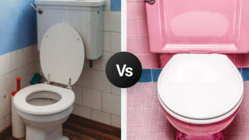 Bathroom Dilemmas