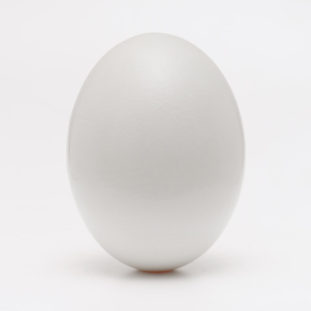 Egg