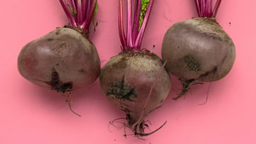 Vegetable R Amazing - Beetroot