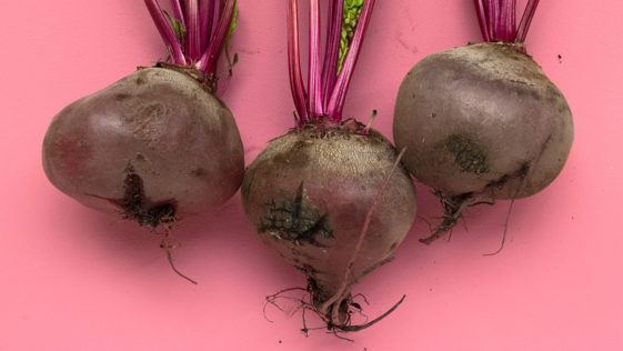 Vegetable R Amazing - Beetroot