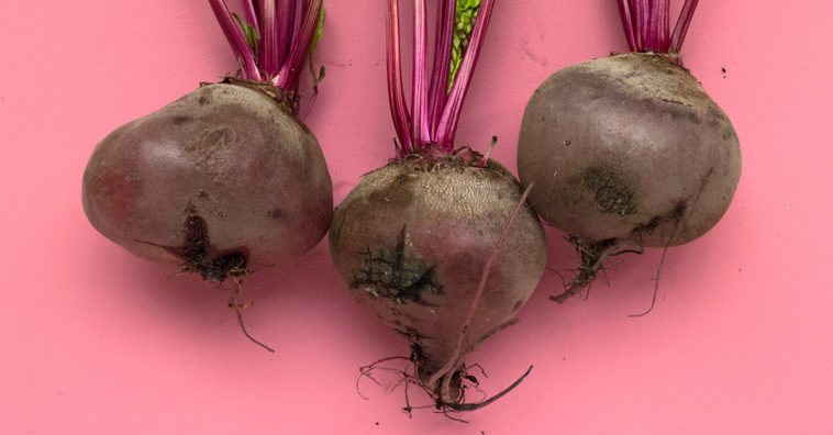 Vegetable R Amazing - Beetroot