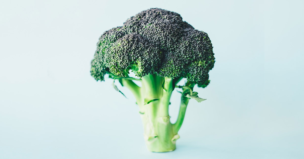 Vegetable R Amazing - Broccoli