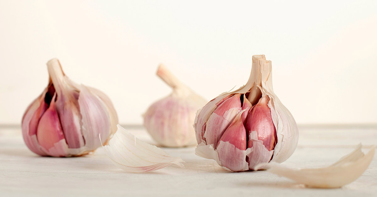 Vegetable R Amazing - Gralic