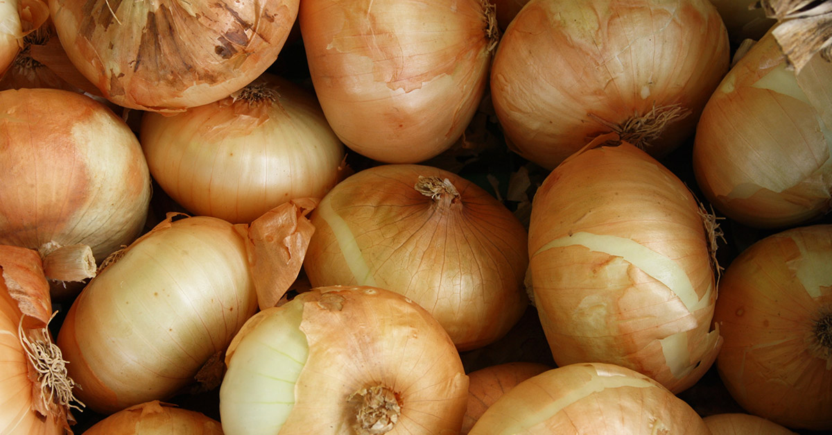 Vegetable R Amazing - Onions