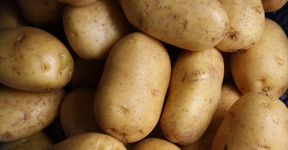 Vegetable R Amazing - Potatoes