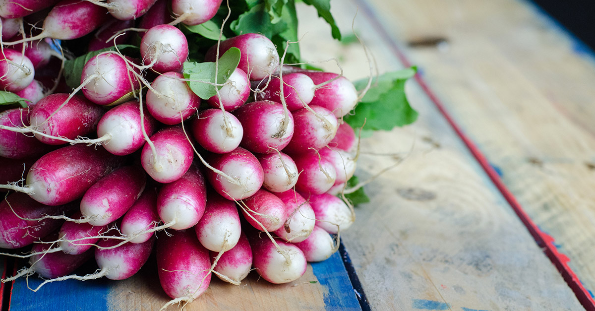Vegetable R Amazing - Radish