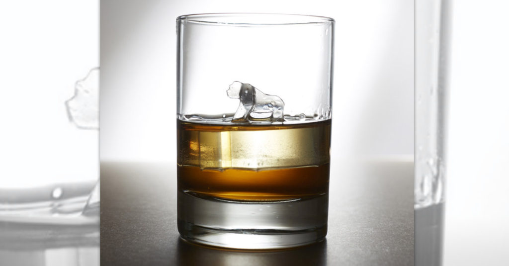 Savannah Endangered Animal Ice Moulds