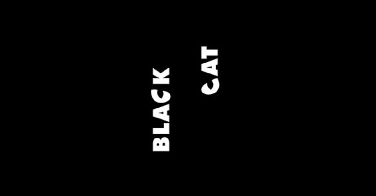 Black Cat - Clever Logos