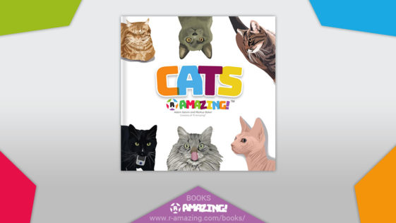 Cats R Amazing! Book