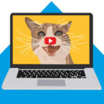 Cats R Amazing! - Cat Videos