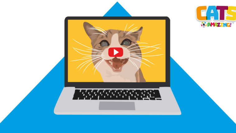 Cats R Amazing! - Cat Videos