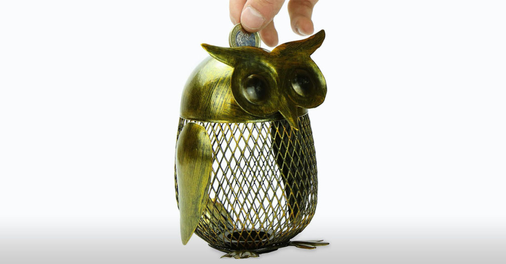 Money Boxes R Amazing! - Owl