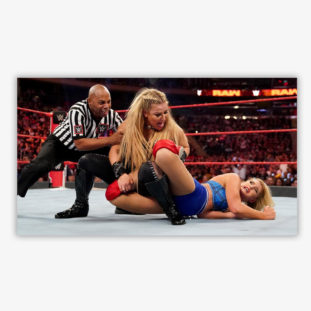 Saudi Arabian Product Images R Amazing! - WWE