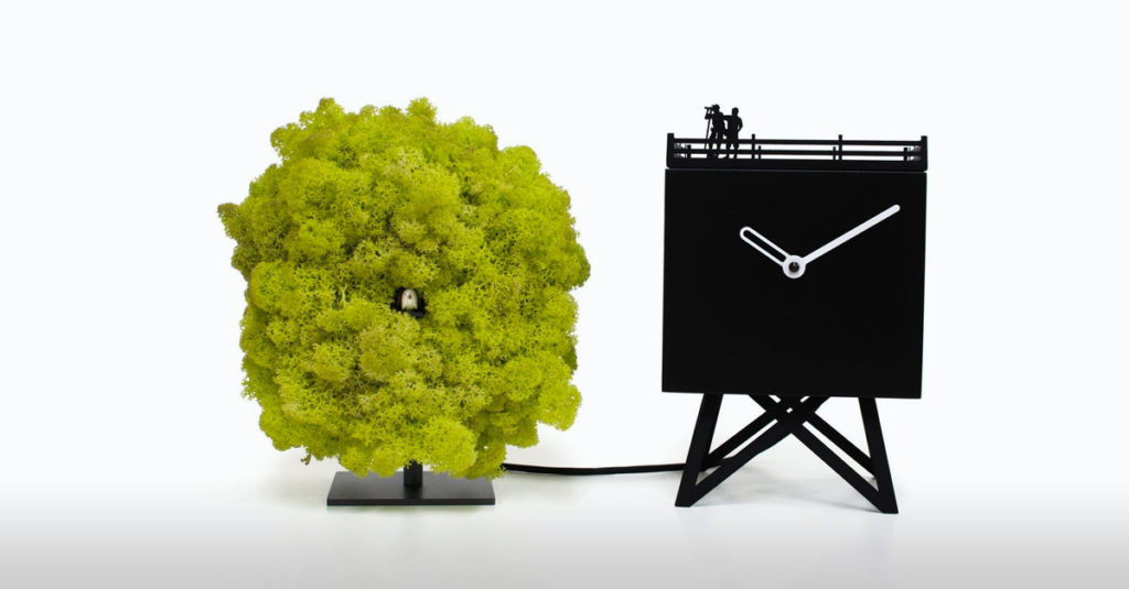 Cuckoo Clocks R Amazing! - Birdwatching