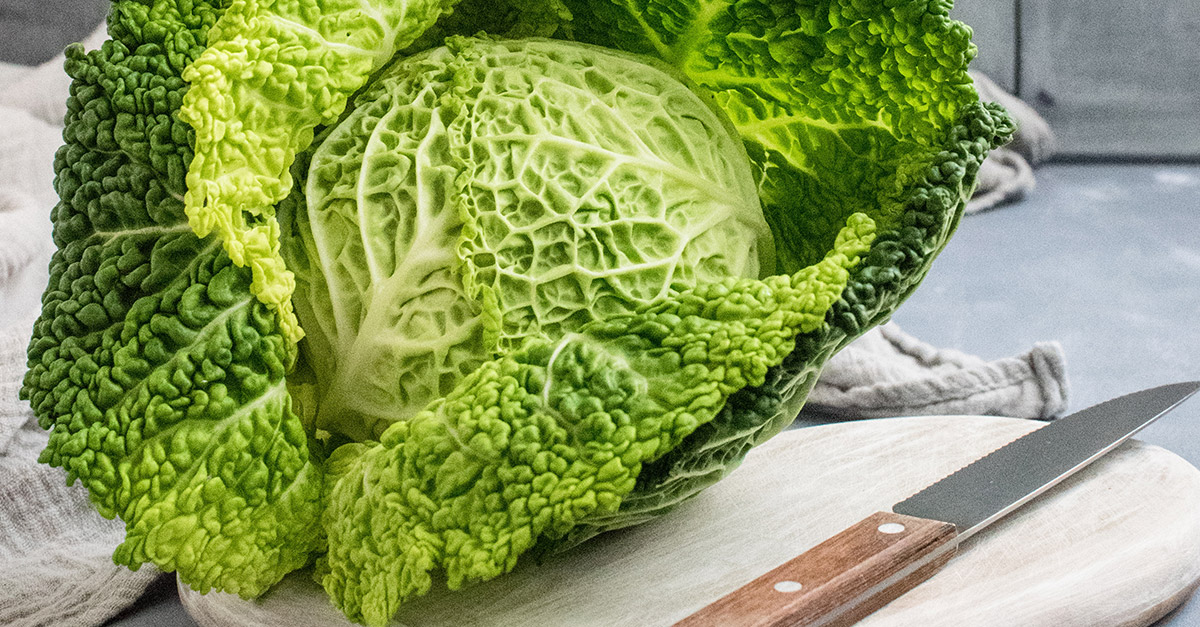 Foods R Amazing! - Cabbage