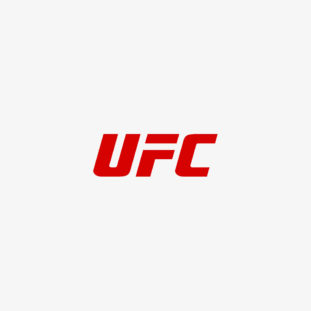 UFC Logo