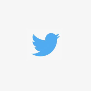 Twitter Logo