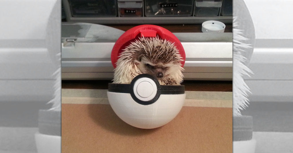 Cute Hedgehogs R Amazing! - Pokeball