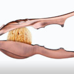 Nutcrackers R Amazing! - Lizard Heavy Duty Nutcracker