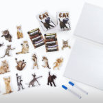 Cat Themed Products R Amazing! - Drawing Game