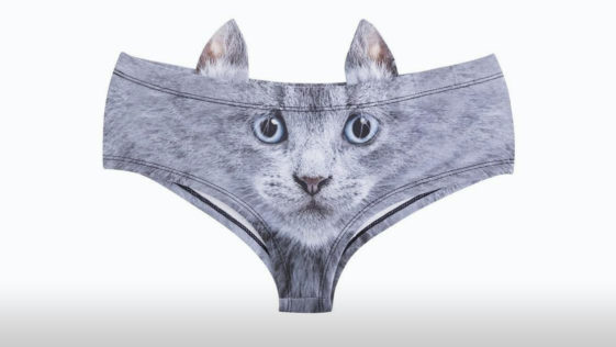 Cat Themed Products R Amazing! - Ear Pants
