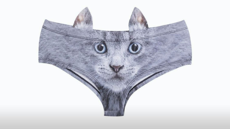 Cat Themed Products R Amazing! - Ear Pants