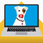 Dog Videos R Amazing!