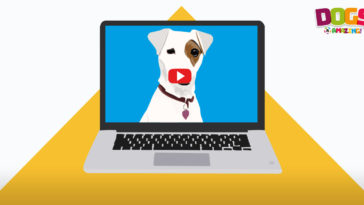 Dog Videos R Amazing!