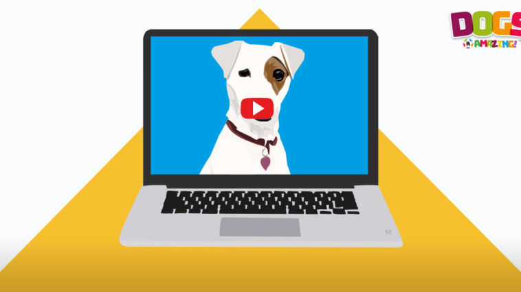 Dog Videos R Amazing!