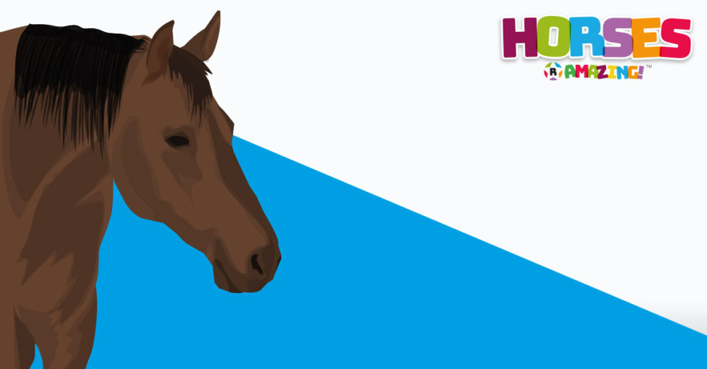 Horses R Amazing! - Horse Emotions