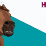 Horses R Amazing! - Happy Horse