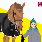 Horses R Amazing! - Horse and Boy