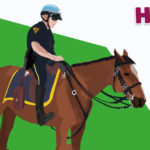 Horses R Amazing! - Police Horse