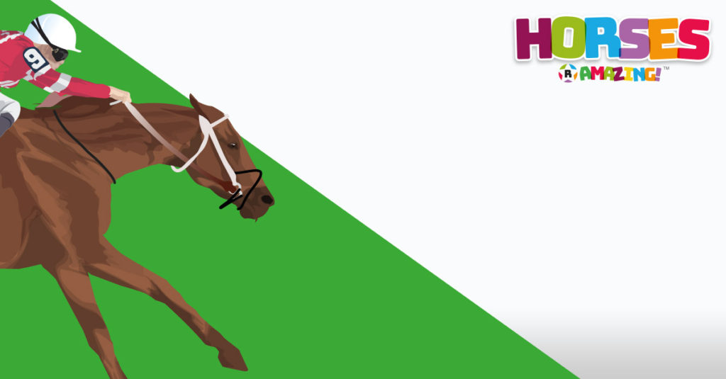 Horses R Amazing! - Seabiscuit Horse