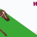 Horses R Amazing! - Seabiscuit Horse