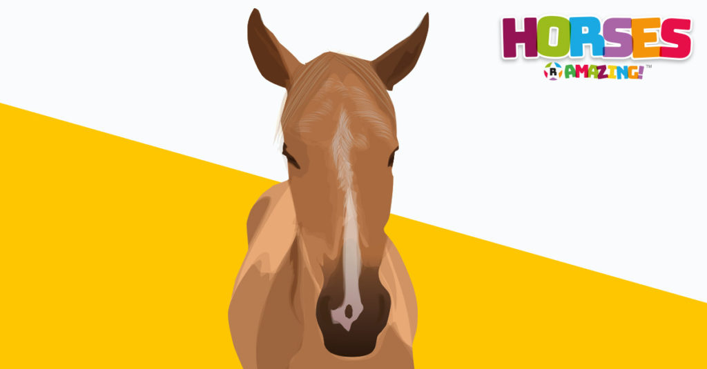 Horses R Amazing! - Sleeping Horse