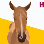 Horses R Amazing! - Sleeping Horse