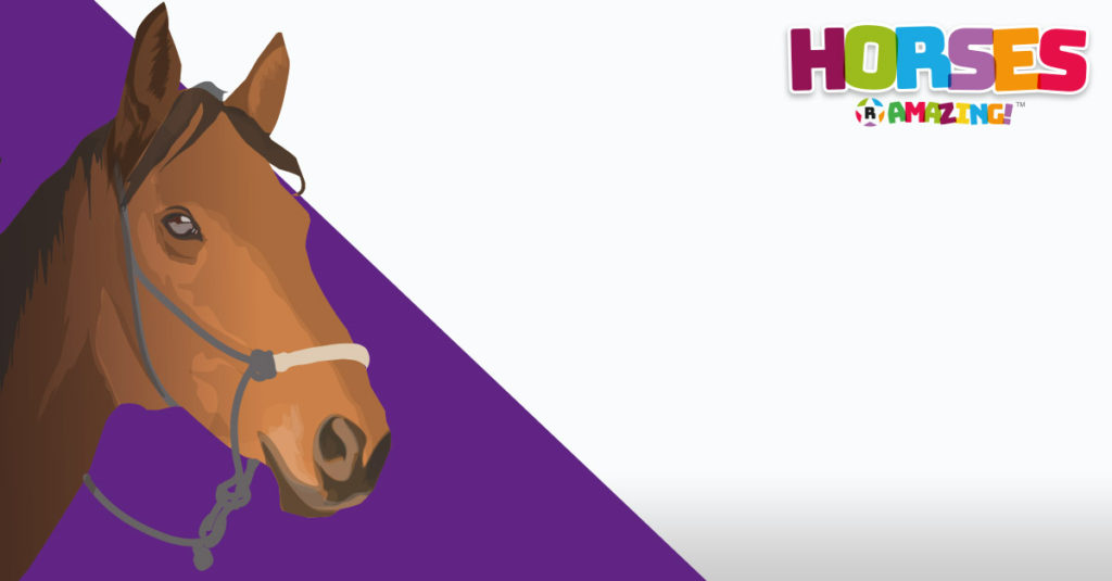 Horses R Amazing! - War Horse