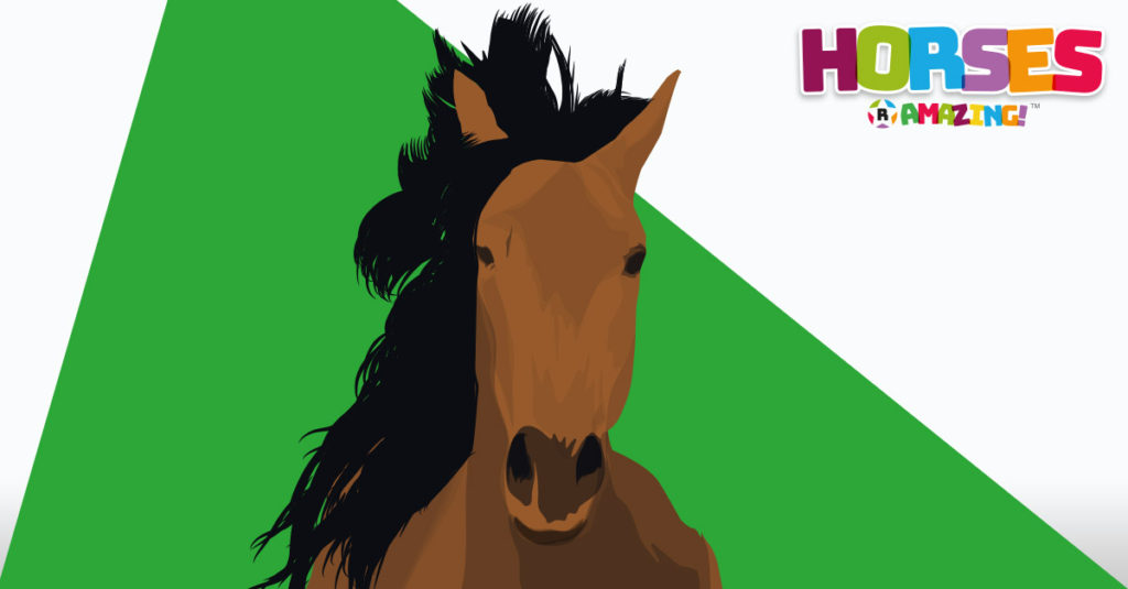 Horses R Amazing! - Wild Horse