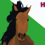 Horses R Amazing! - Wild Horse